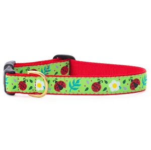 Collar | Lovely Ladybugs